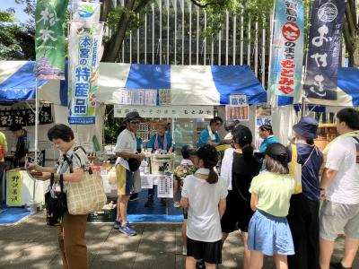 せたがやふるさと区民まつり写真