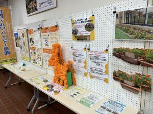 中央公民館展示