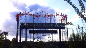 ハロウィン装飾_オリンピックローズエリア