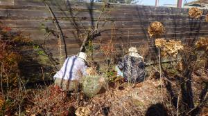 11月サポーター活動写真①