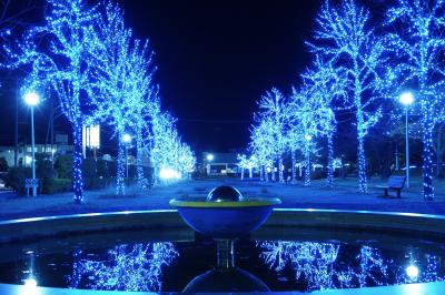 イルミネーション