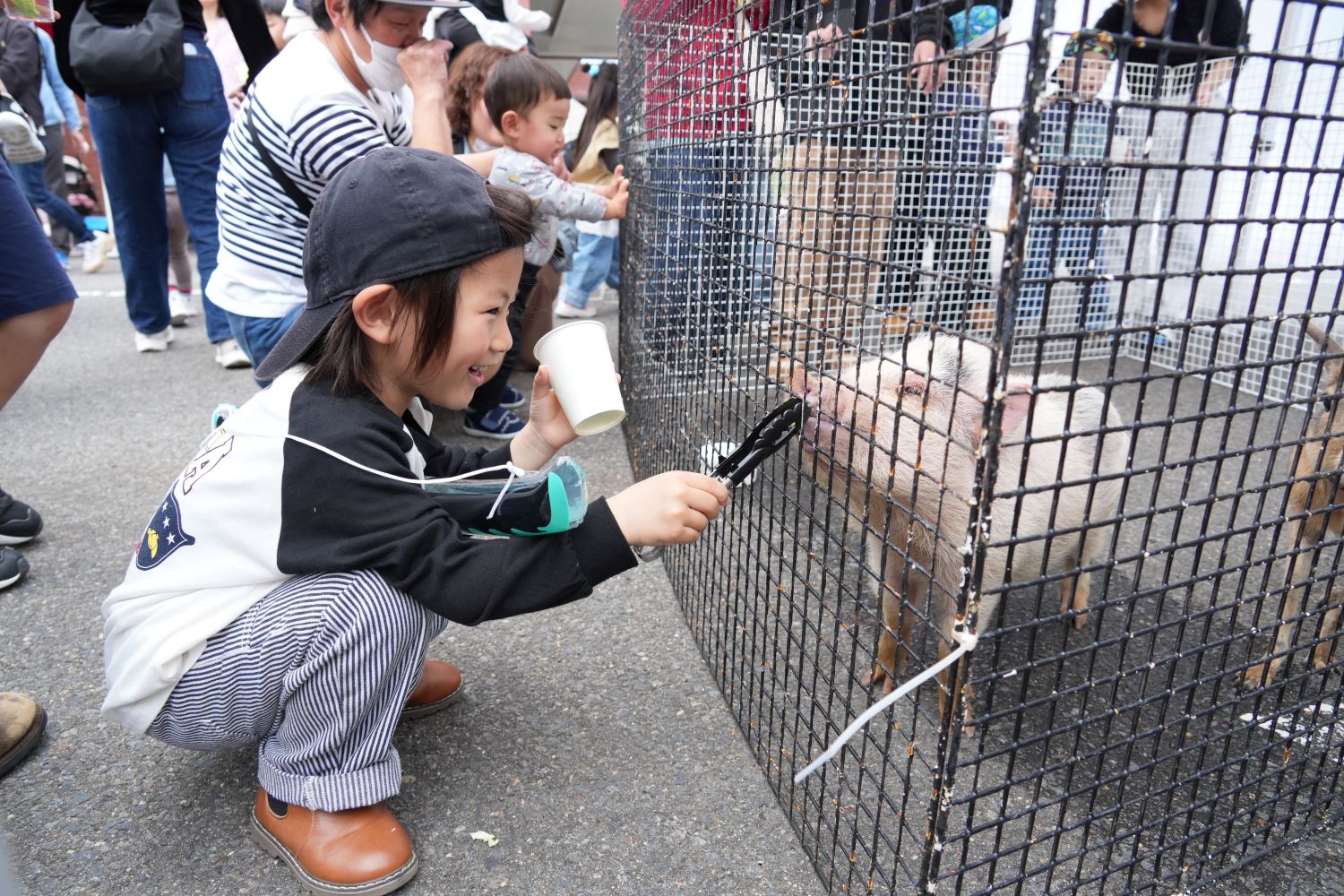 ふれあい移動動物園①