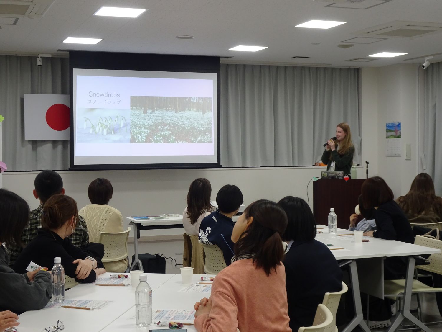 英国の春によく見る花について学びました
