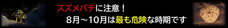 スズメバチバナー
