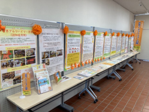 中央公民館展示