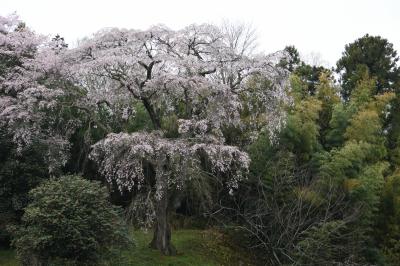 2017年4月18日