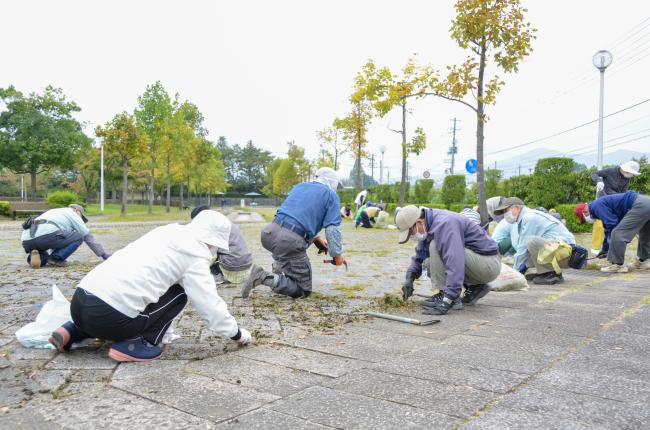 みずいろ公園での除草作業その1