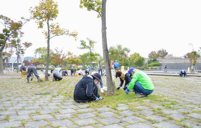 みずいろ公園での除草作業その2